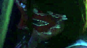 Middle of Night Fuck, Trying Not to Moan