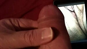 Tribute for cyberdebb with pussy cum vagina penis