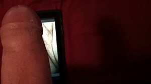 Tribute for cyberdebb with pussy cum vagina penis