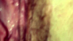 New fuck and suck video of mixed people fucking and masturbating