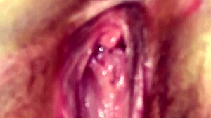 New fuck and suck video of mixed people fucking and masturbating