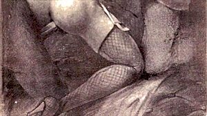 Vintage erotic illustrations bring retro charm alive.