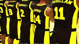 Complete gameplay of wvm part 43 with game features and exciting elements for players