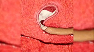 Tamaki Gets Wet In Midnight Fucking Session