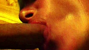 girlfriend enjoys sucking cock in amateur video with tits and nipples