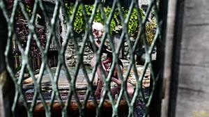 i suck off aya in public as futa.