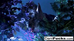 Dani emotionally ravaged by huge cock