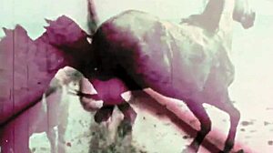 Back in the day, taboo hairy pussy got drilled outdoors in vintage style.