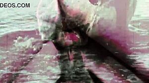 Back in the day, taboo hairy pussy got drilled outdoors in vintage style.