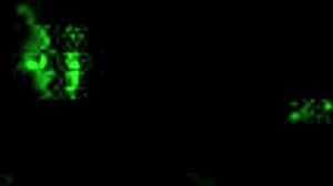 Vintage erotic drawings