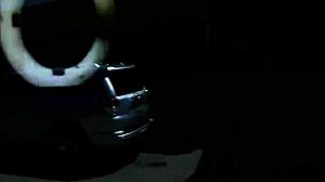 Pleasuring with Homosexual Partner