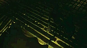 Cursed Island Adventure with Cartoon Characters!