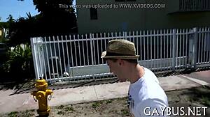 Pleasuring with Homosexual Partner