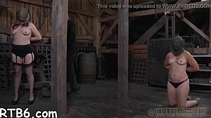 Sadomasochism amateurs sucking and fucking bound.