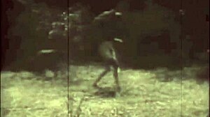 Dark Lantern presents Beauty and the Beast in vintage style