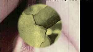 Dark lantern entertainment presents vintage closeups from my secret life the erotic confessions