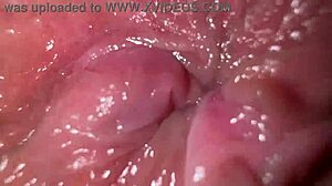 Close-up ass fingering with dirty talk for intense anal orgasm