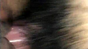 teen fat pussy gets destroyed hard and creampied