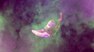 Longa Metragem De Anal No Cavalinho Solteira