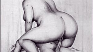 vintage erotic art collection from retro anime hentai cartoons