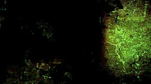 Vintage erotic illustration