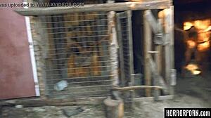 Bound Brunette Licked Roughly in Outdoor Group