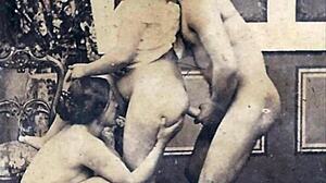 vintage erotic art collection from retro anime hentai cartoons