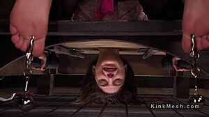 Prop builder surprises hr officer with bdsm in office