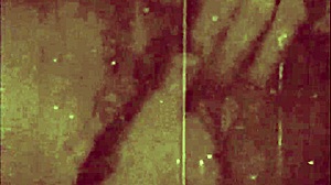 vintage bisexual taboo intensifies in secret life