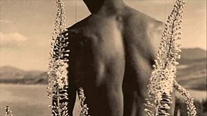 Vintage Victorian homosexuals in erotic antique scenes.