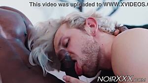 Stallion Deangelo Jackson Ravages Ass With Thick Bbc