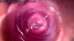 见过相机深入米娅奶油小穴吗？