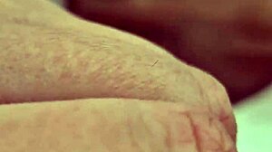 My Thick Penis In Anime Hentai Style