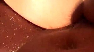 i can't believe we had a wild orgy on the meadow!