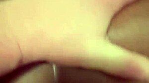 Amateur ebony homemade sucking and doggystyle action