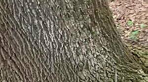 we got caught fucking in the park as i came in her espanol