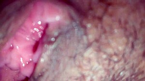 Fucking wet shaved pussy of sexy pornstar to orgasm.