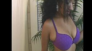 TheShimmyShow Features Trinidad Island Hottie Foxy Roxy