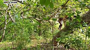 Who’s This Brazilian Slut Getting Intense Anal in Paradise?!