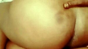 Sundaydogood614 - update 173 - vid 20240501 021952 - may 01 2024