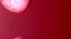 Hey, curious Japanese step mom, what do you think of my porn picks?