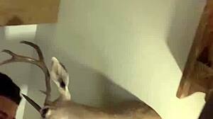 Missionary Hotel Sex With Big Cock And Creampie