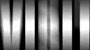 African babe seduces european neighbor by pool