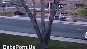 Hey, Check Out This Amateur Blowjob Clip I Found!