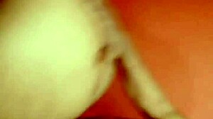 sundaydogood614 update 339 video from july 22 2024