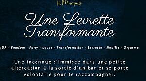 Une Levrette Transformante - French Audio Porn Furry