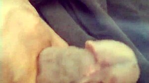 I just got home from work and fantasized about my girlfriend