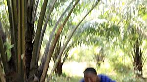 horny african bbw wife meets monster cock and loves it in the bush 😍