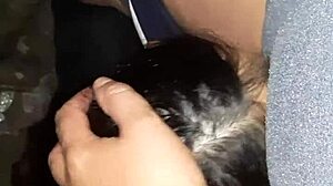 we lick wet pussies in the barn