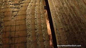 Voyeur Lesbian Slave Spies and Touches Herself to Explosive Climax